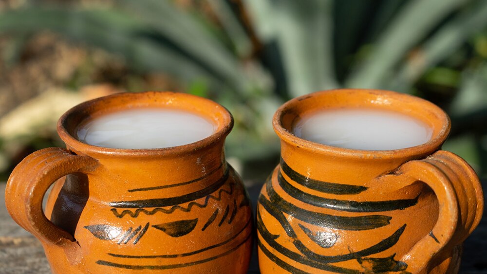 La bebida de los dioses llega a El Marqués con el PulQuerétaro Fest 2024