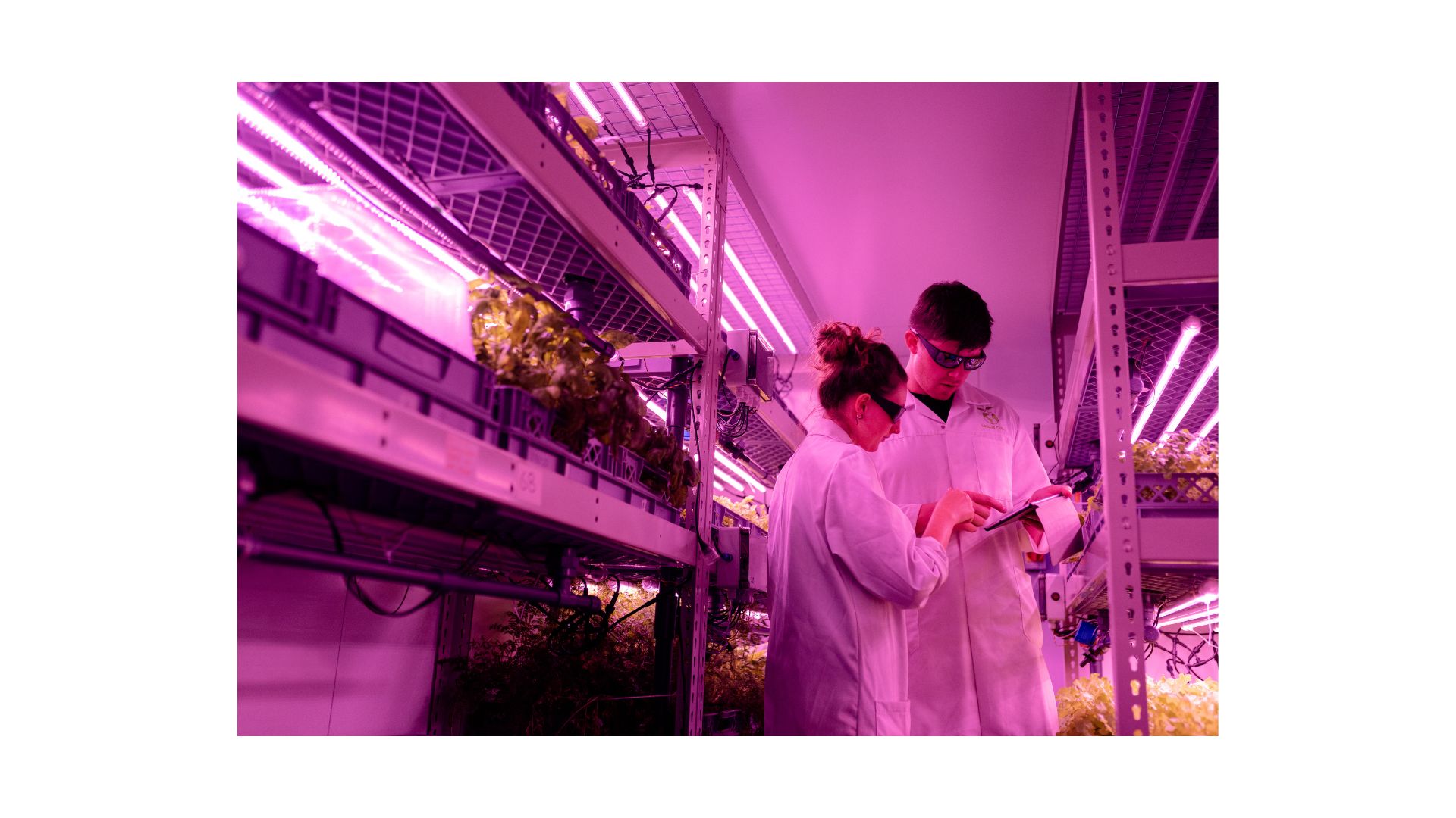 La división farmacéutica de Bayer se posiciona con terapias innovadoras