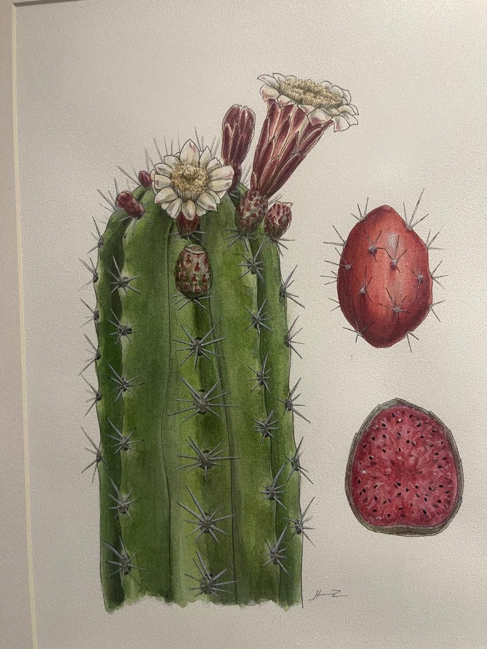 Llega al Museo Histórico de la Sierra Gorda la obra de Lilian Tendilla