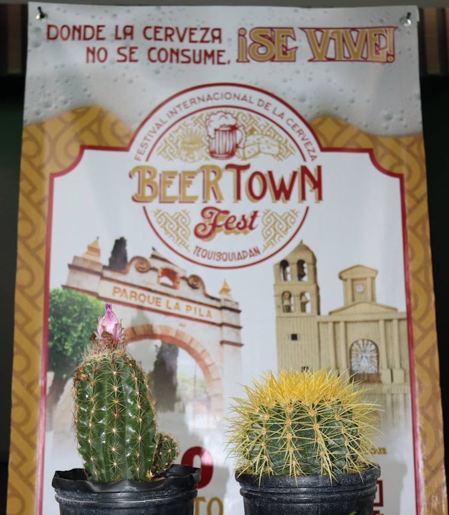 Anuncia Tequis el Beer Town Fest y la Cuarta Expo Cactus y Suculentas 2025