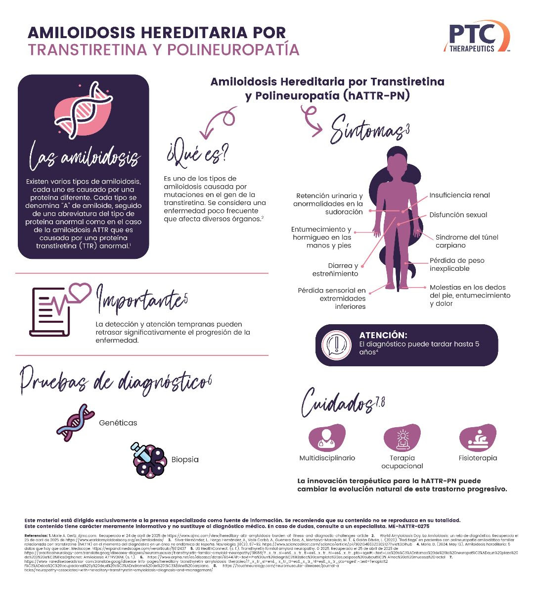 Amiloidosis hereditaria por transtiretina y polineuropatía : esto debes saber