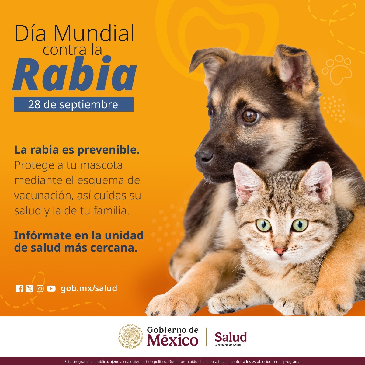 Día Mundial contra la Rabia