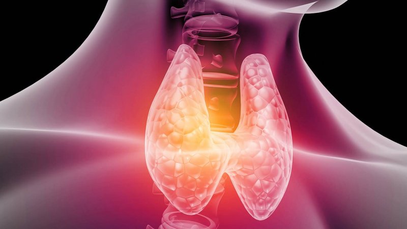 ¿Hipotiroidismo? Armstrong Laboratorios trae a México una solución para su tratamiento