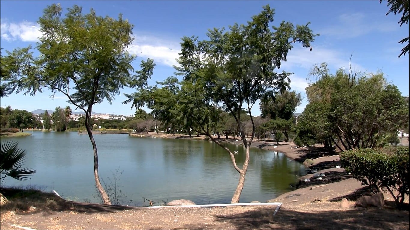 Invita Felifer a celebrar el Día Mundial del Agua en el parque La Queretana