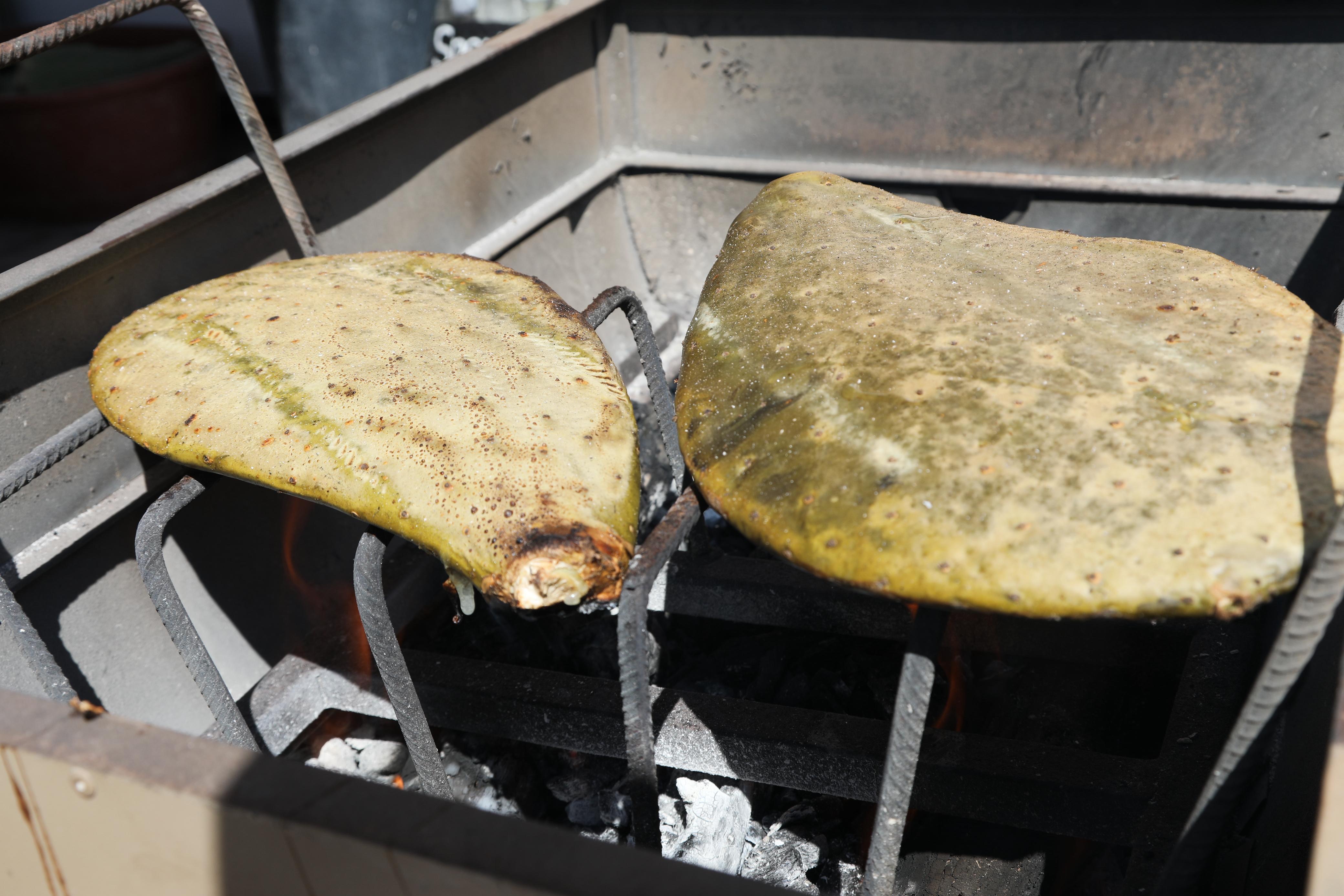 Festival del Nopal, el Pulque y la Gordita Colón 2026: Un Éxito Rotundo en su Apertura