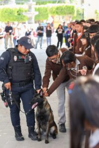 Periódico El Mosquito Querétaro